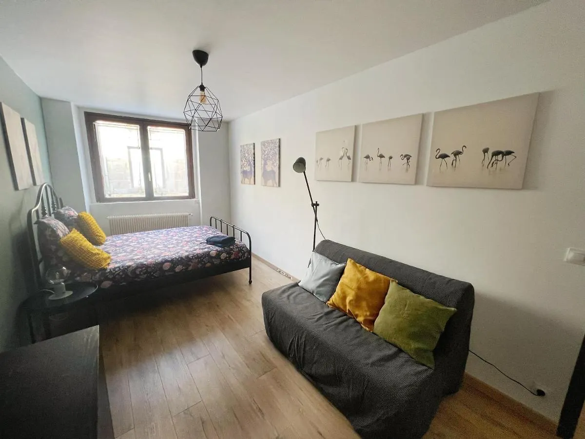 116 Chic & Cosy Grand Appart Moderne 65M2 Hypercentre Wifi Smart Tv Netflix Apartment Saint-Etienne